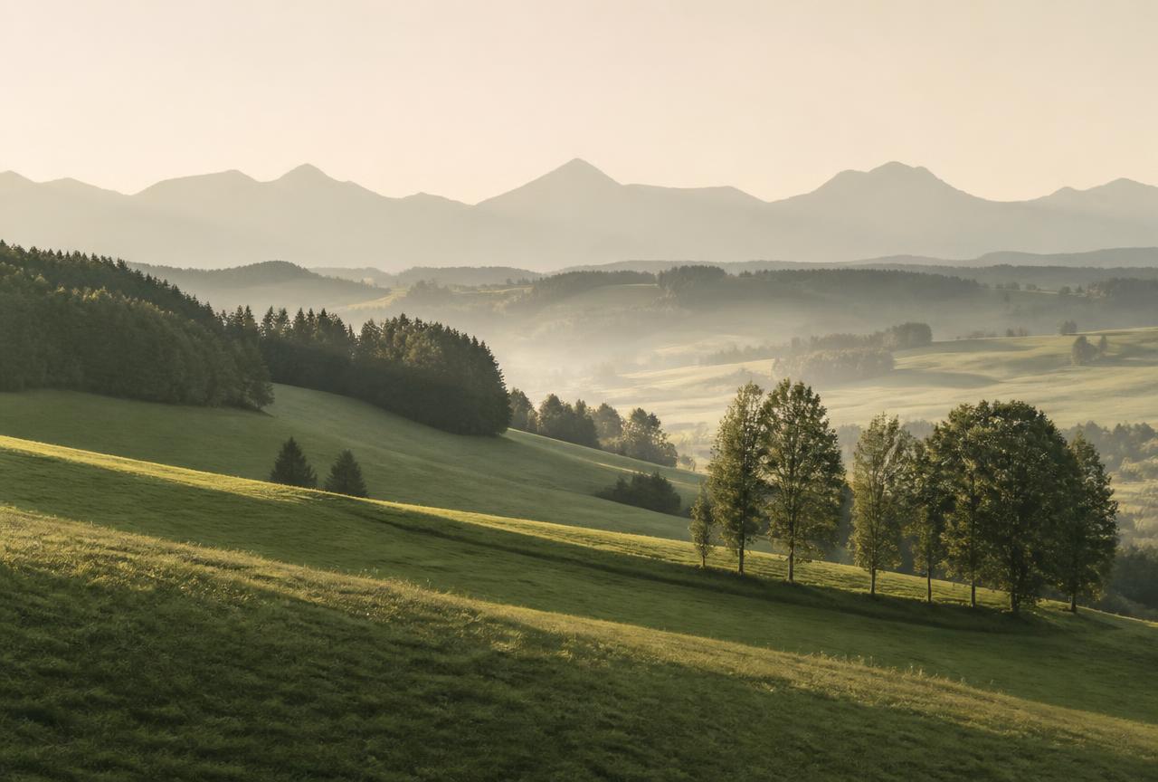 Sanfte Hügellandschaft im Allgäu bei Kempten im Morgenlicht